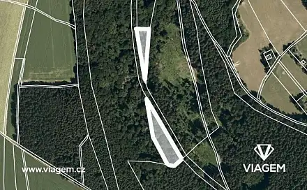 Prodej lesa 2 486 m², Sudislav nad Orlicí, okres Ústí nad Orlicí