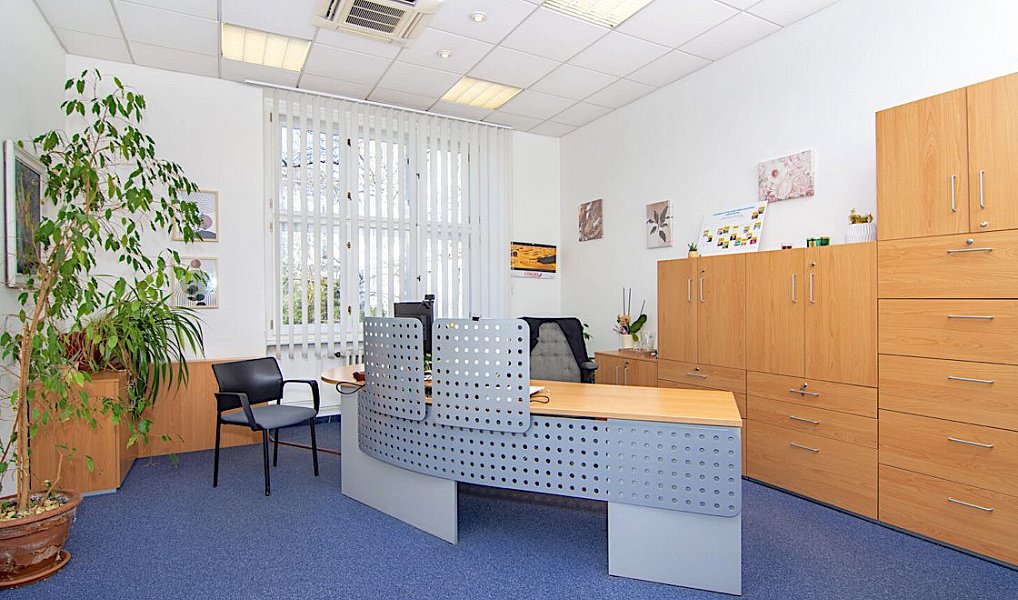Pronájem obchodních prostor 365 m², Frýdek-Místek – náhled fotky 2