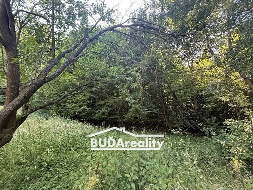 Prodej lesa 6 667 m² — photo 4