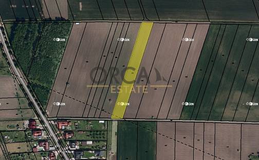 Prodej pole 4 245 m², Jevišovka, okres Břeclav