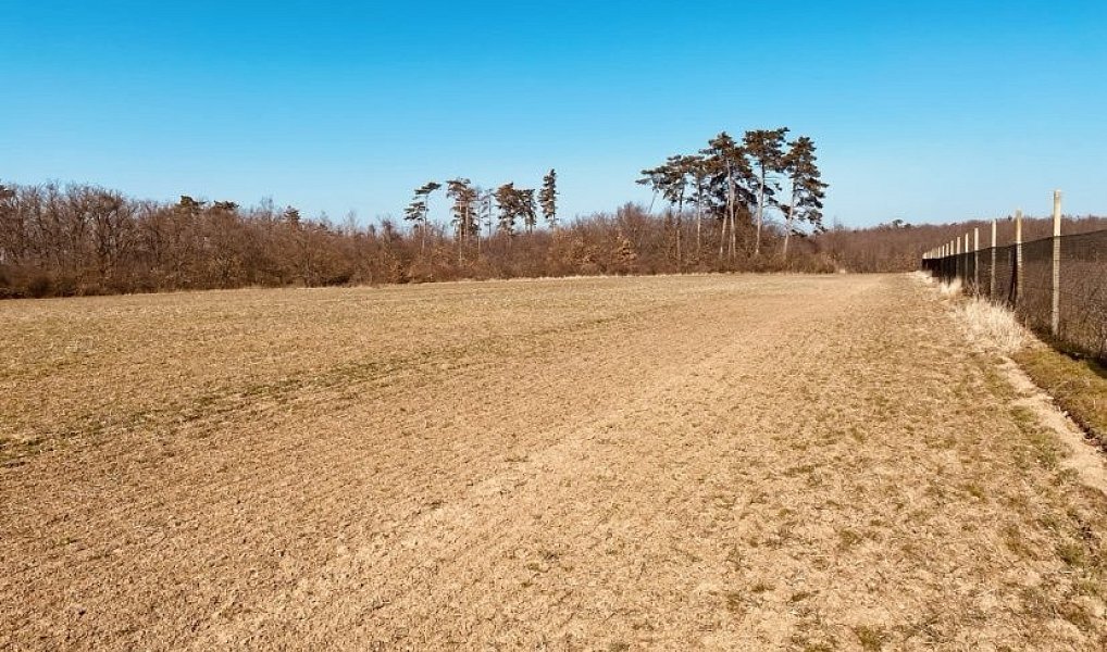 Prodej zahrady 7 000 m², Dobšice – náhled fotky 2