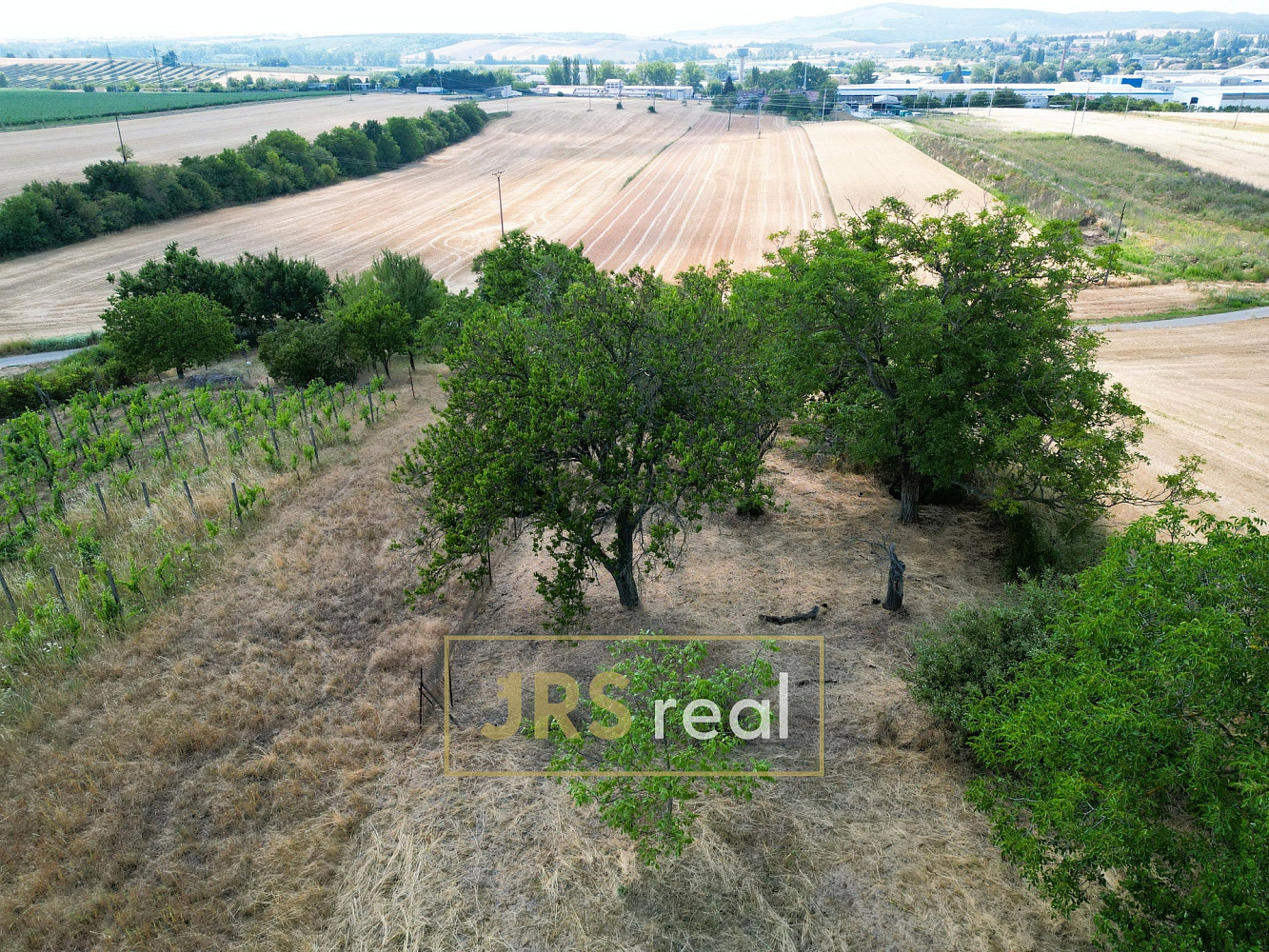 Prodej pole 1 046 m² – fotografie 4