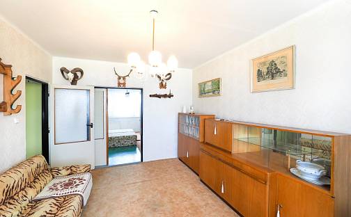 Prodej bytu 3+1 65 m², Masarykova, Kamenice nad Lipou, okres Pelhřimov