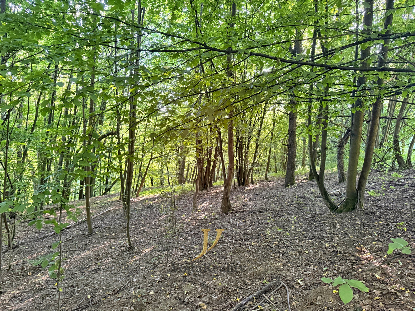 Fotka 17 z 18