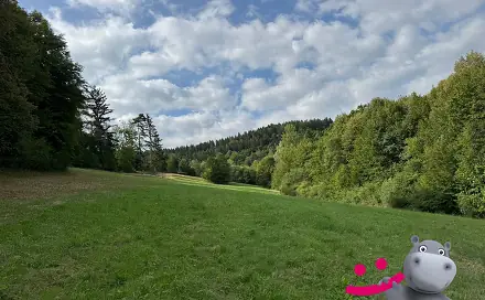 Prodej louky 11 214 m², Janová, okres Vsetín