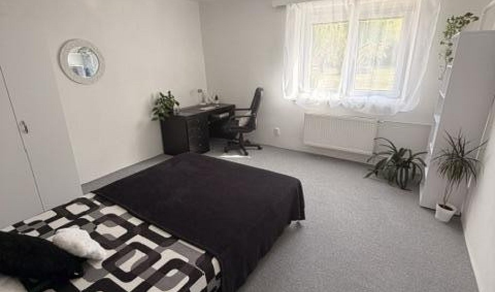 Pronájem bytu 2+1 70 m², Olomouc – náhled fotky 4