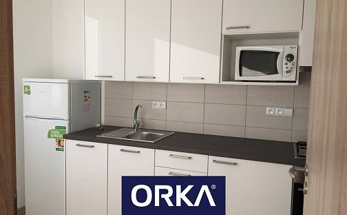 Pronájem bytu 1+1 32 m², Zelená, Olomouc - Neředín