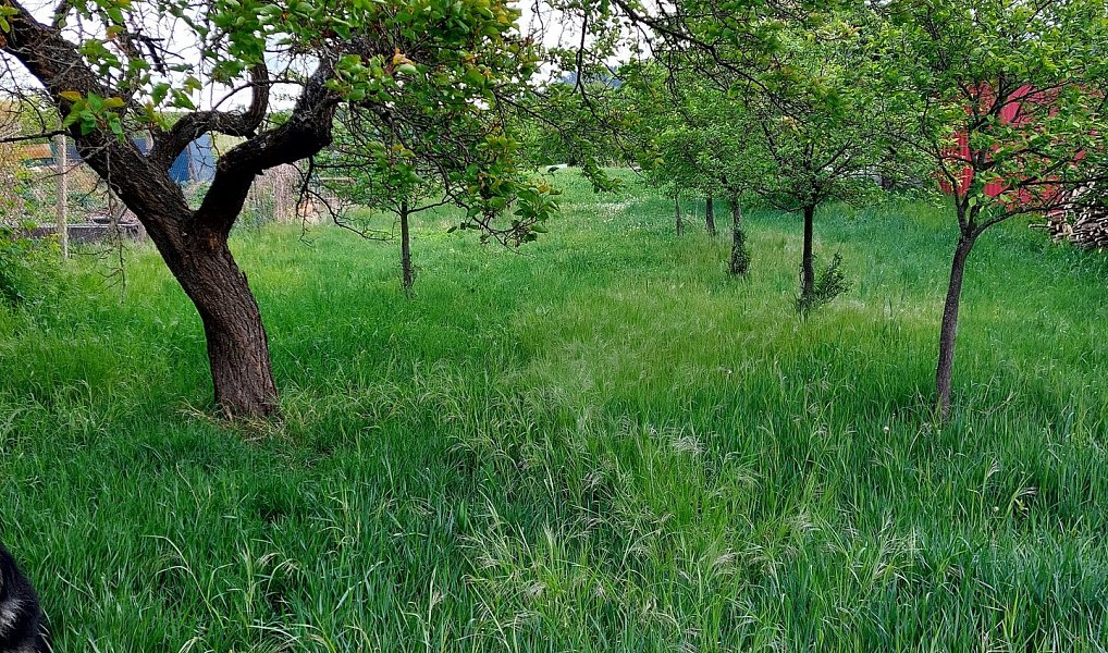 Prodej stavebního pozemku 2 224 m², Perná – náhled fotky 5