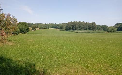 Prodej stavebního pozemku 8 856 m², Vyžice, okres Chrudim