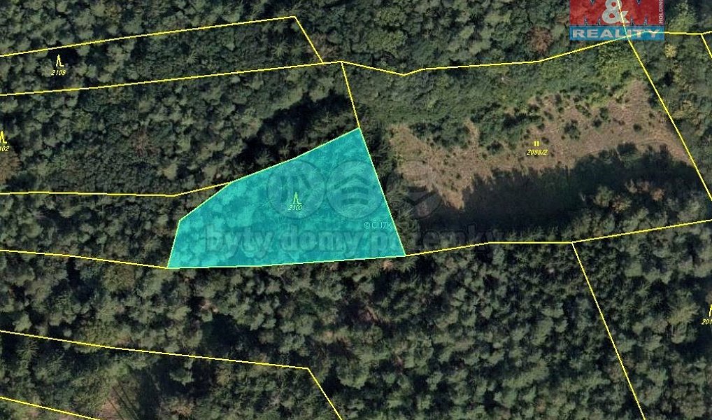 Prodej lesa 2 841 m², Ludkovice – náhled fotky 4