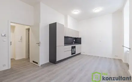 Pronájem bytu 1+kk 27 m², Gorkého, Brno - Veveří