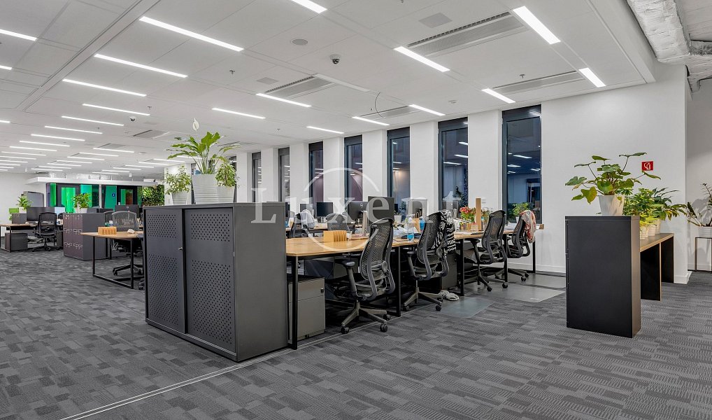 Pronájem kanceláře 1 560 m², Praha – náhled fotky 3