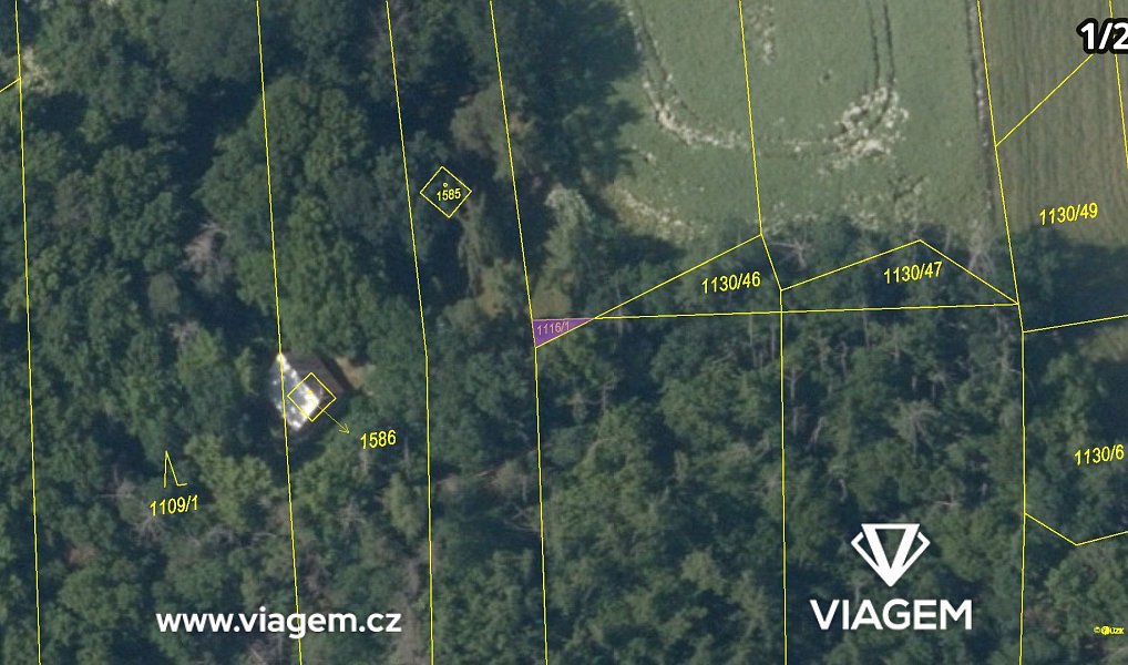 Prodej lesa 1 972 m², Chyňava – náhled fotky 4