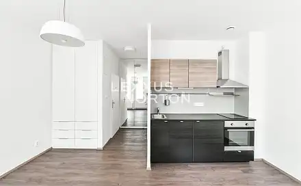 Pronájem bytu 1+kk 30 m², Lucemburská, Praha 3 - Vinohrady