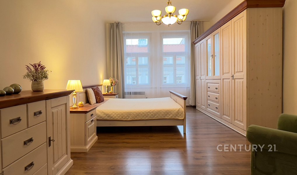 Pronájem bytu 1+1 46 m², Praha – náhled fotky 6
