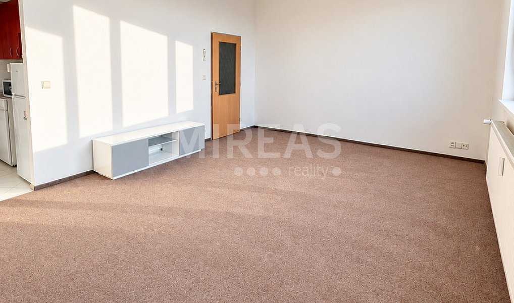Pronájem bytu 1+kk 35 m², Milovice – náhled fotky 3
