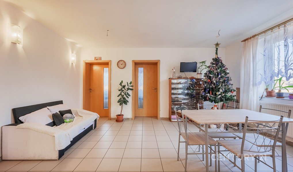 Prodej domu 240 m² s pozemkem 348 m², Bzenec – náhled fotky 16