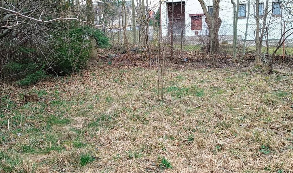 Prodej domu 356 m² s pozemkem 1 111 m², Proseč – náhled fotky 9