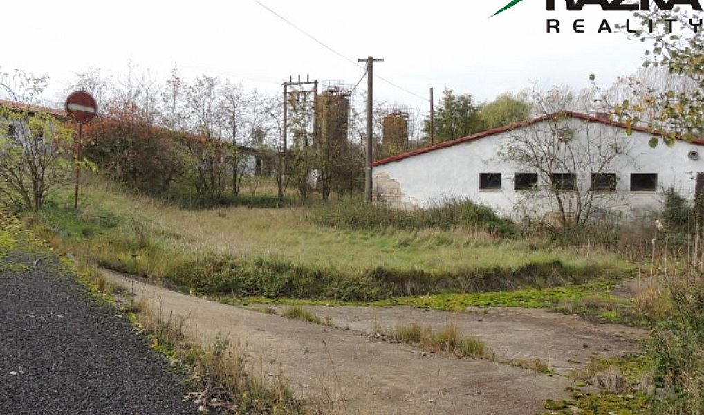 Prodej zemědělského objektu 5 633 m², Přimda – náhled fotky 10