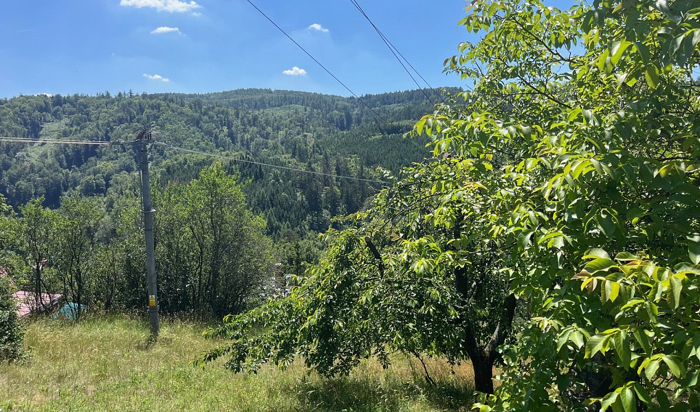 Prodej chaty/chalupy 53 m² s pozemkem 447 m², Blansko – náhled fotky 6