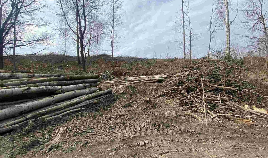 Prodej stavebního pozemku 704 m², Horní Stropnice – náhled fotky 3