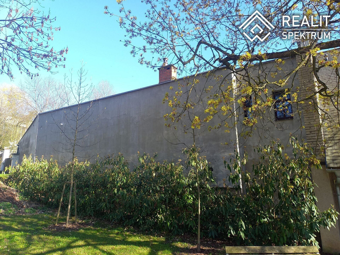 Prodej obchodních prostor 430 m² – fotografie 3