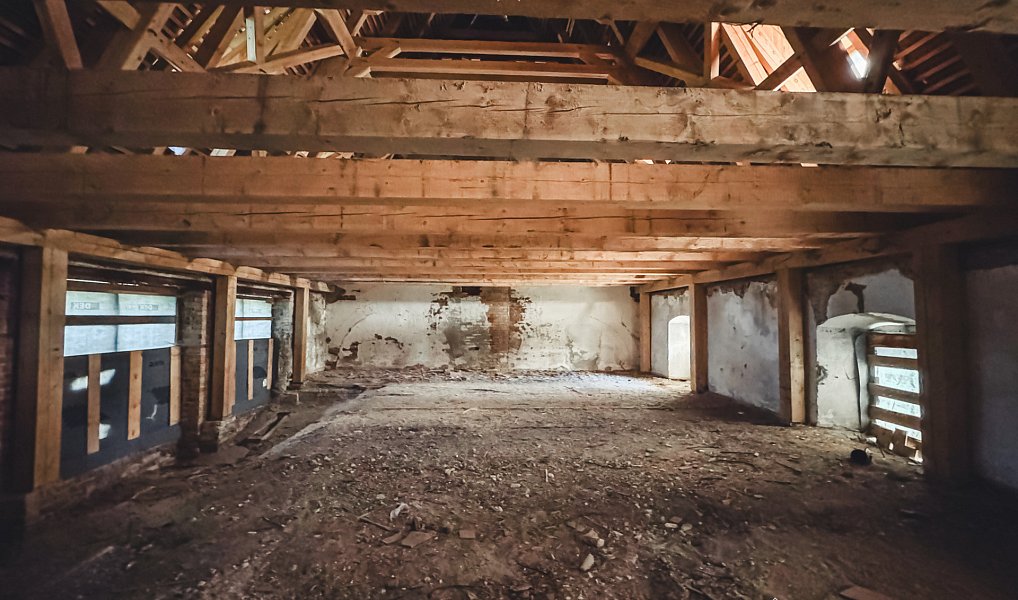 Prodej komerčního objektu (jiného typu) 10 232 m², Netolice – náhled fotky 11
