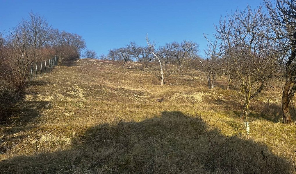 Prodej domu 47 m² s pozemkem 2 956 m², Trnovany – náhled fotky 13
