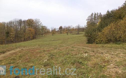 Prodej pozemku 6 670 m², Nový Jičín - Žilina