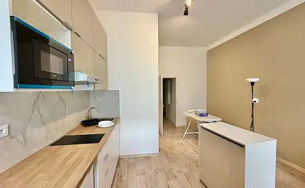 Pronájem bytu 1+kk 30 m²
