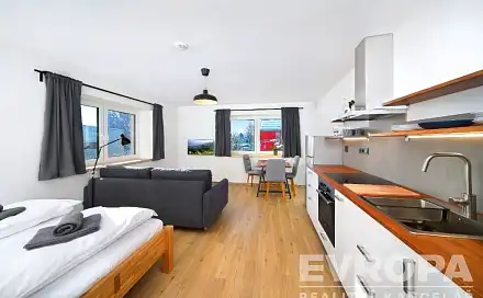 Pronájem bytu 1+kk 30 m²