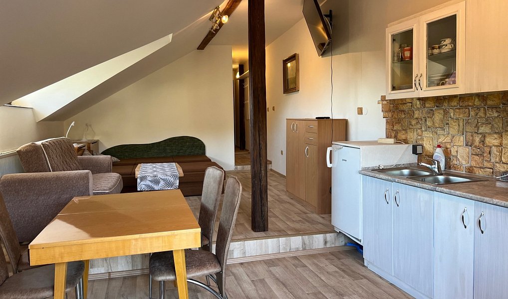 Pronájem bytu 1+kk 42 m², Holubice – náhled fotky 8