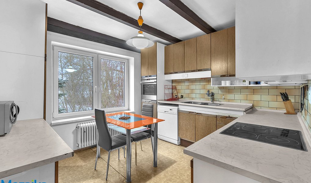 Prodej domu 322 m² s pozemkem 1 175 m², Letohrad – náhled fotky 8