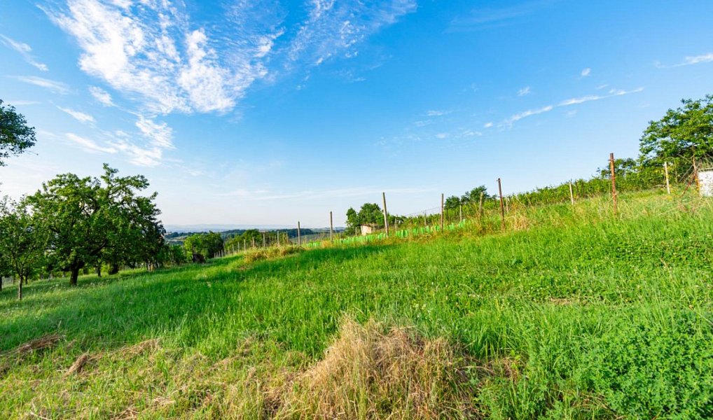 Prodej zahrady 1 878 m², Kudlovice – náhled fotky 4