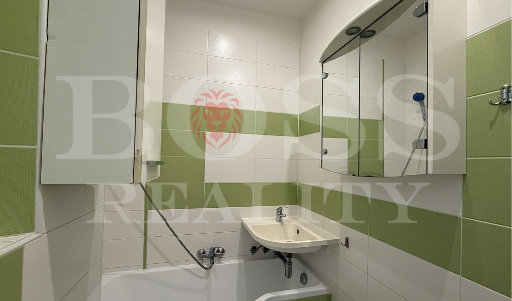 Prodej bytu 2+1 52 m², Plzeň – náhled fotky 13
