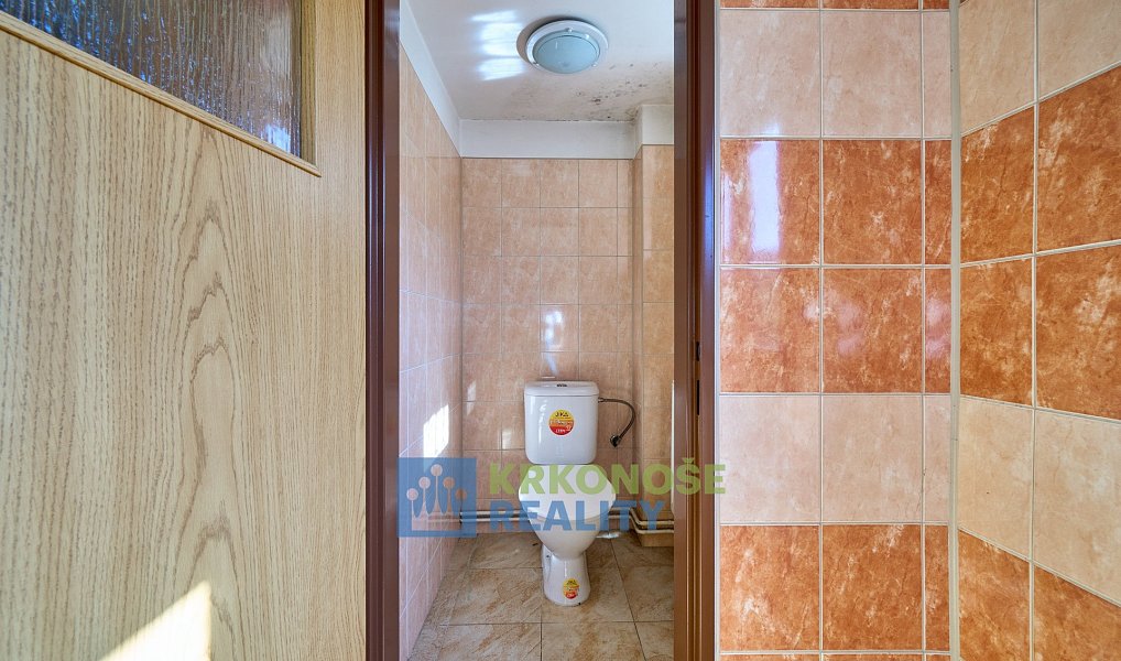 Prodej domu 307 m² s pozemkem 314 m², Jilemnice – náhled fotky 9