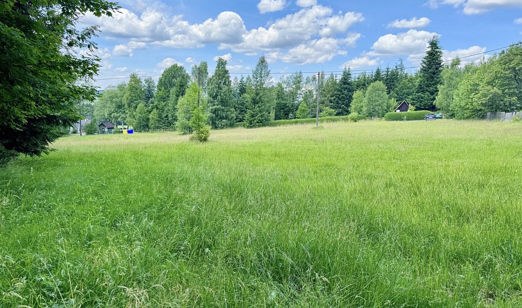 Prodej chaty/chalupy 200 m² s pozemkem 11 151 m², Sněžné – náhled fotky 25