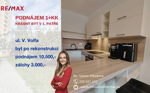 Pronájem bytu 1+kk 30 m², V. Volfa, České Budějovice - České Budějovice 2