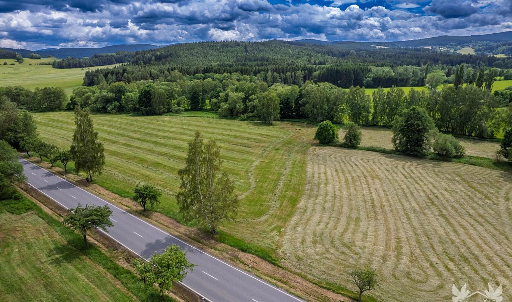 Prodej komerčního pozemku 9 518 m², Stachy – náhled fotky 9