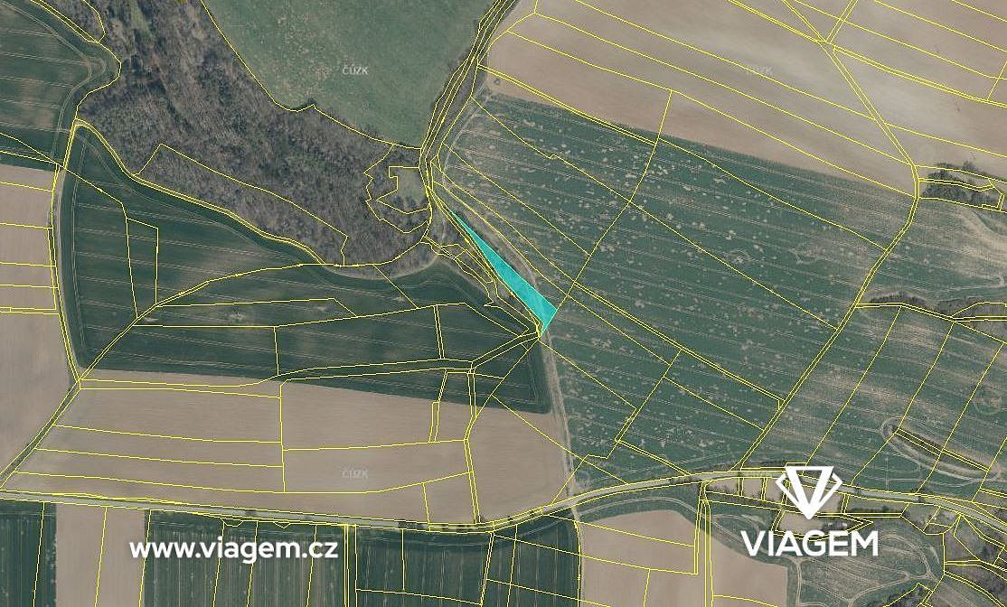 Prodej pole 2 482 m² – fotografie 4