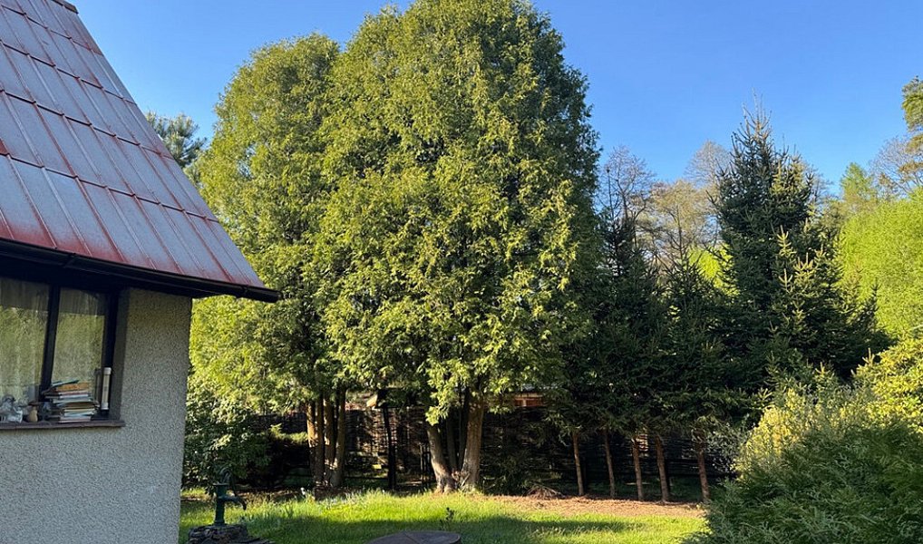 Prodej chaty/chalupy 50 m² s pozemkem 504 m², Libeř – náhled fotky 22