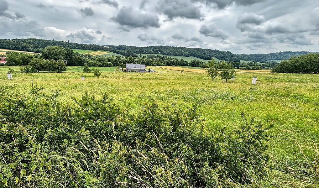 Prodej stavebního pozemku 1 333 m², Neveklov – náhled fotky 4