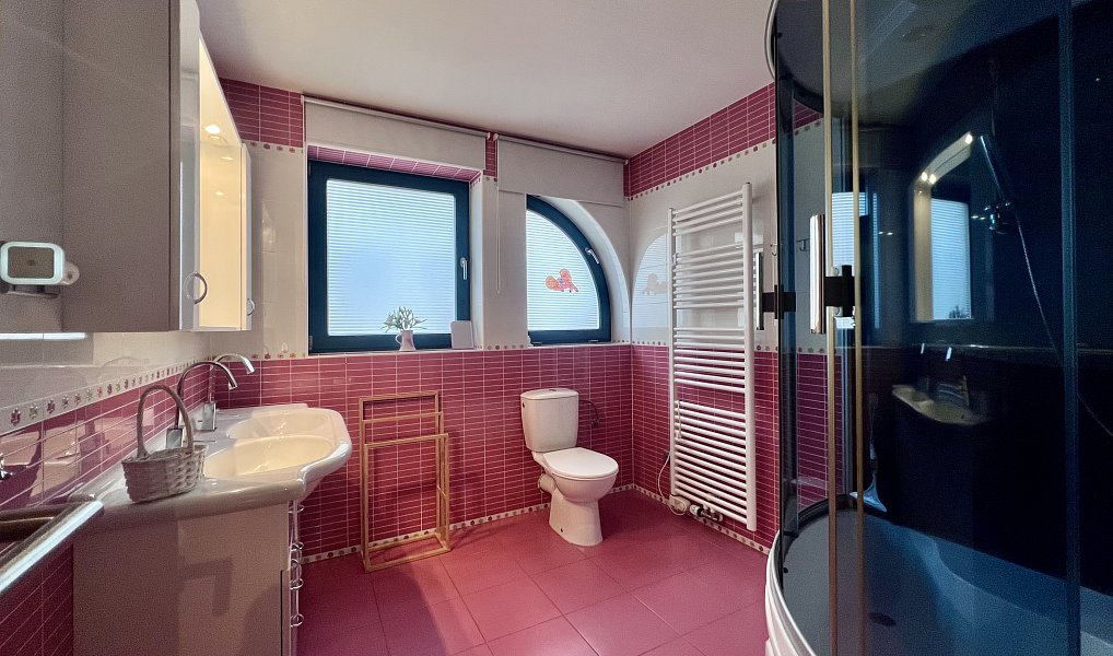 Prodej domu 229 m² s pozemkem 1 404 m², Blansko – náhled fotky 20