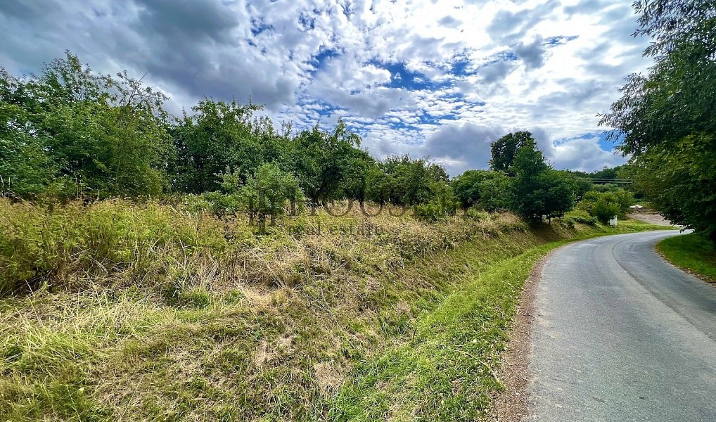 Prodej stavebního pozemku 2 410 m², Blížejov – náhled fotky 10