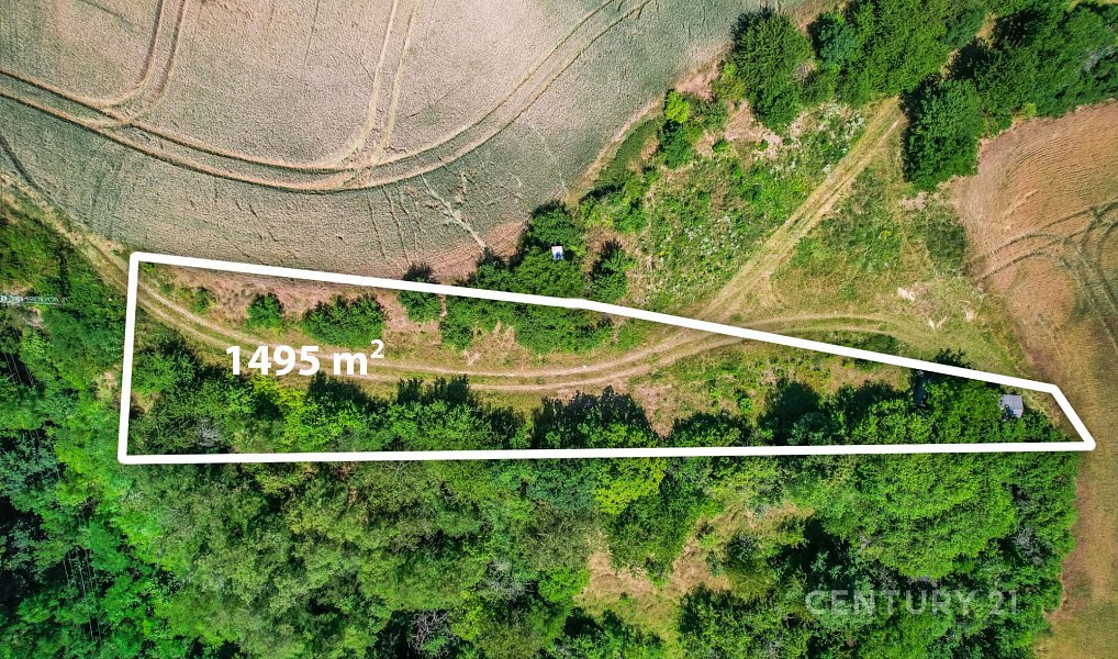 Prodej pole 1 495 m², Statenice – náhled fotky 3
