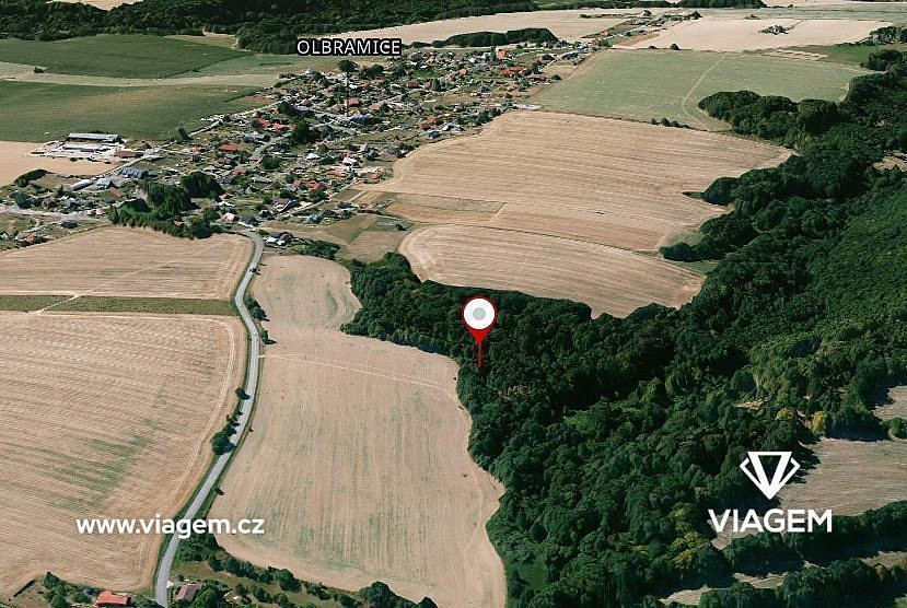 Prodej lesa 2 180 m² – fotografie 2