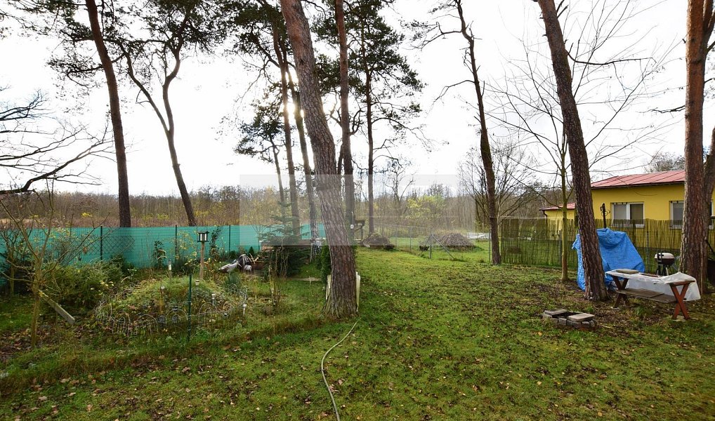 Pronájem bytu 1+1 37 m², Plzeň – náhled fotky 9