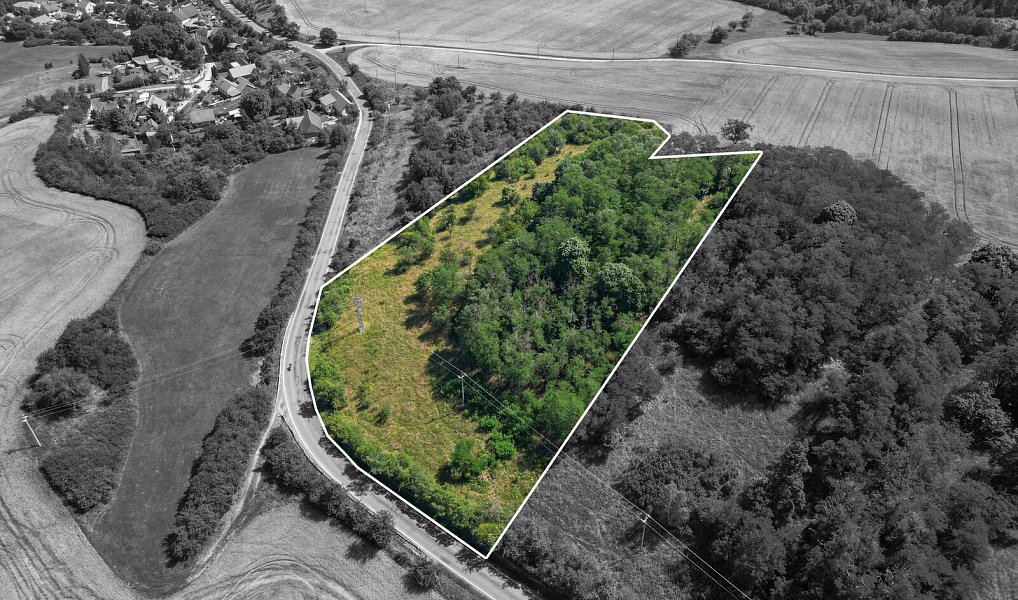 Prodej zahrady 16 882 m², Zvíkovec – náhled fotky 2