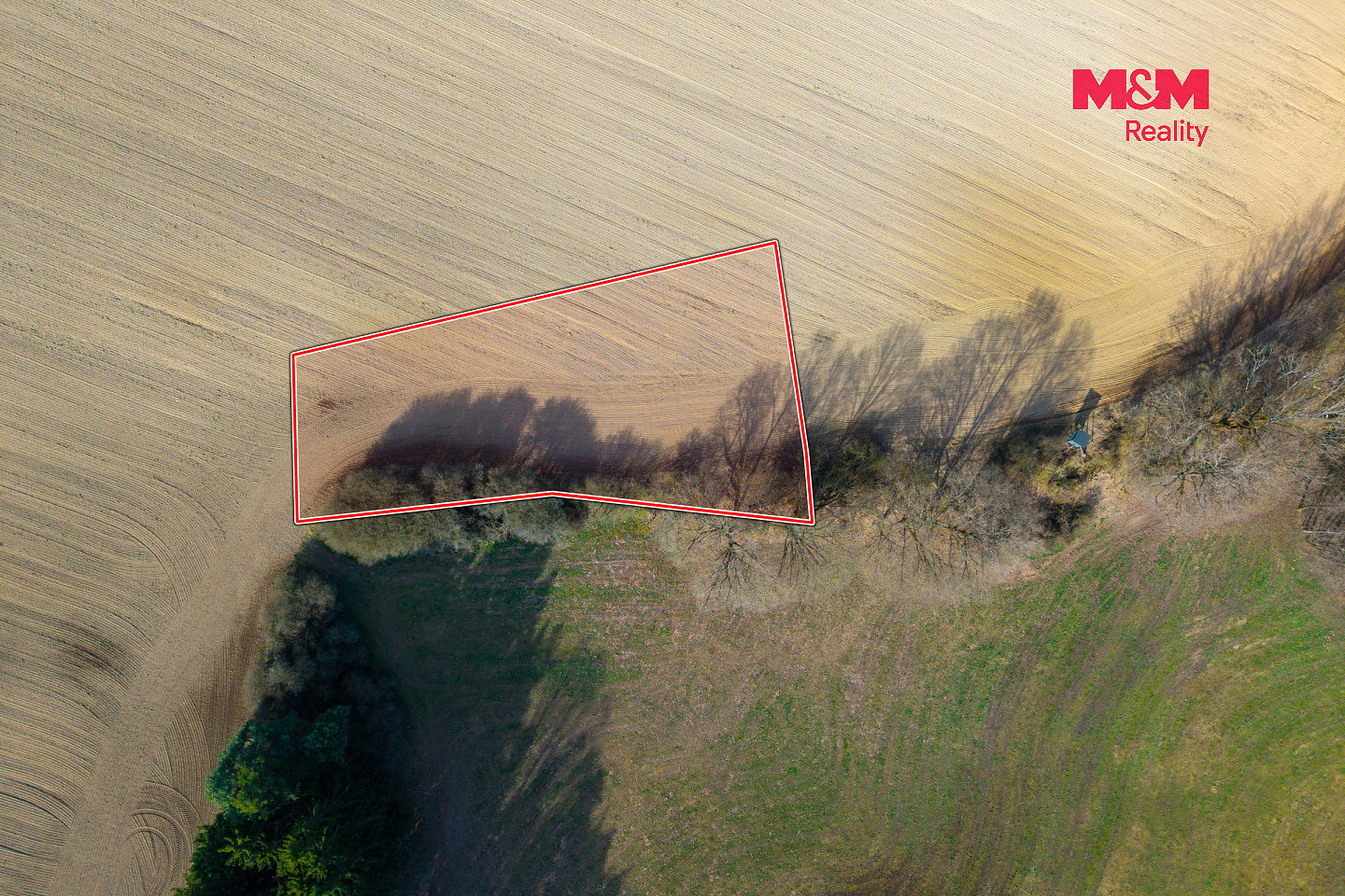 Prodej pole 1 277 m² – fotografie 2