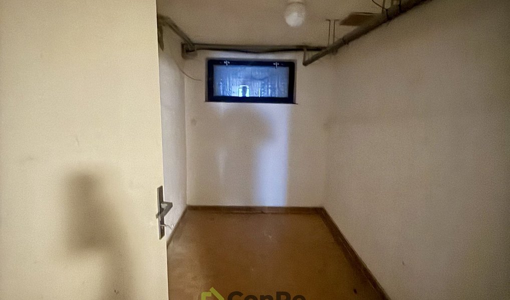 Prodej domu 297 m² s pozemkem 2 452 m², Provodín – náhled fotky 17